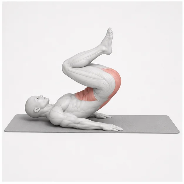 Reverse Crunch in der Belastungsphase